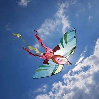 Moulin Roty - cerf volant oiseau-Aujourd'hui c'est mercredi