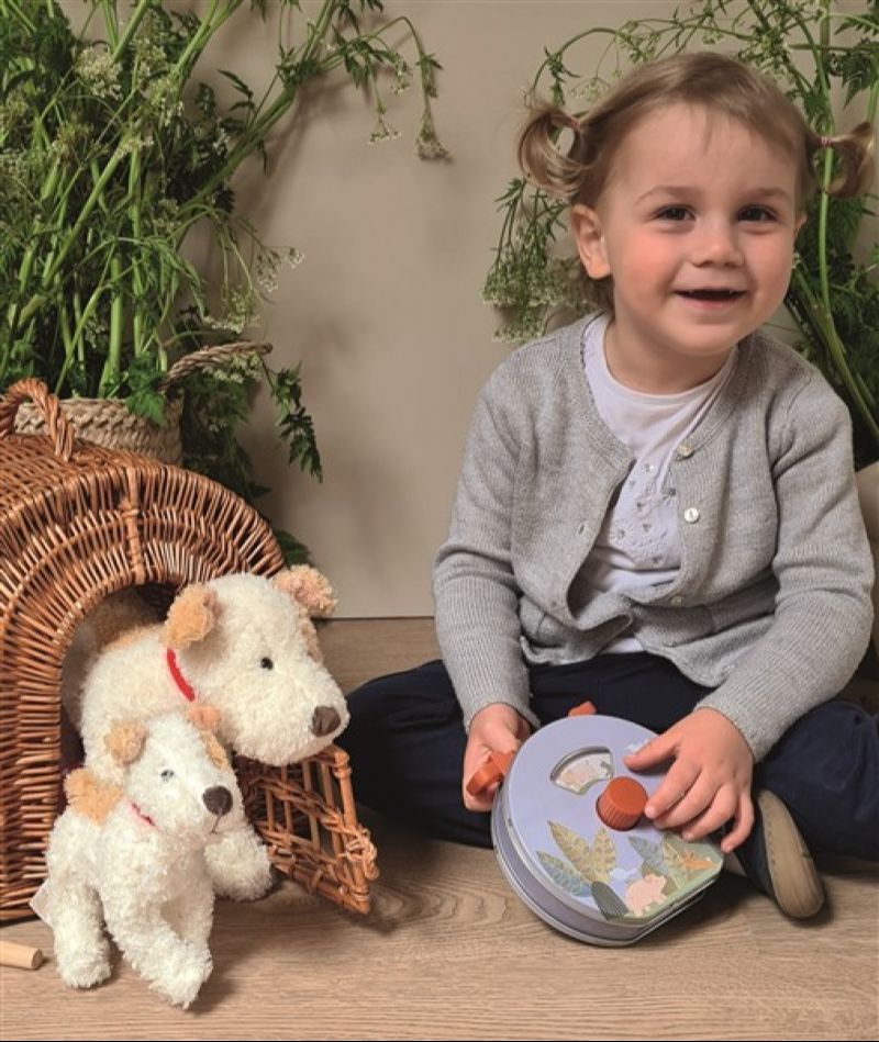 Egmont Toys - Radio-Boîte à musique - Campagne