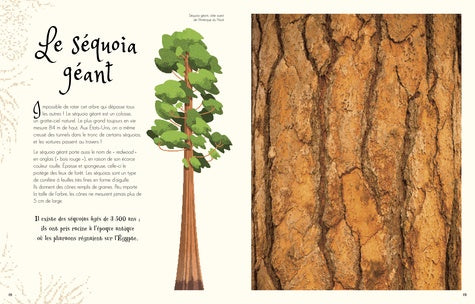 Auzou - L'anthologie illustrée de la nature extraordinaire