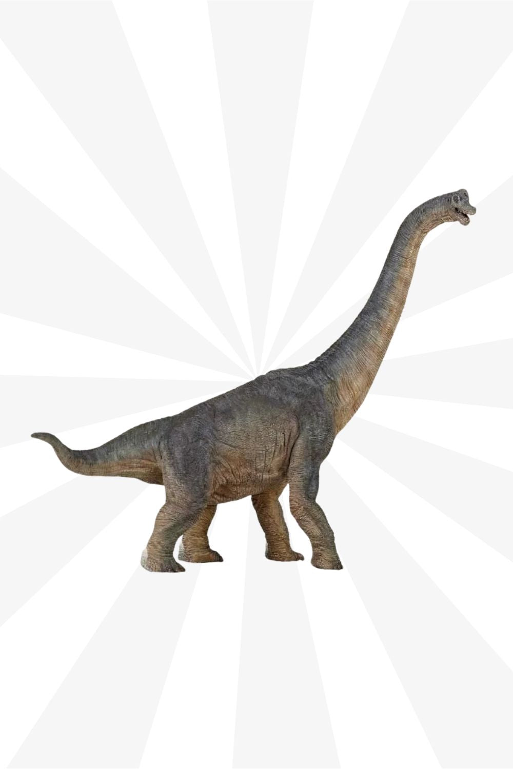Papo - brachiosaure - figurine