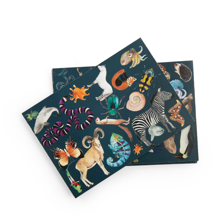 Moulin roty - jeu cherche et trouve - tout autour du monde