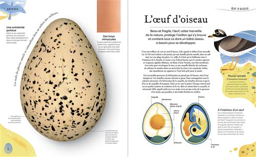 Auzou - L'anthologie insolite des trésors de la nature - livre