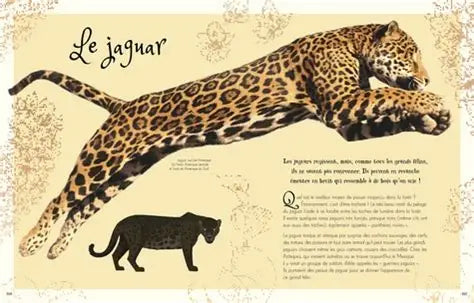 Auzou - L'anthologie illustrée de la nature extraordinaire