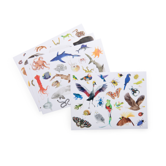 Moulin Roty - Tout autour du monde - pochette 78 stickers repositionnables - 3 ans+
