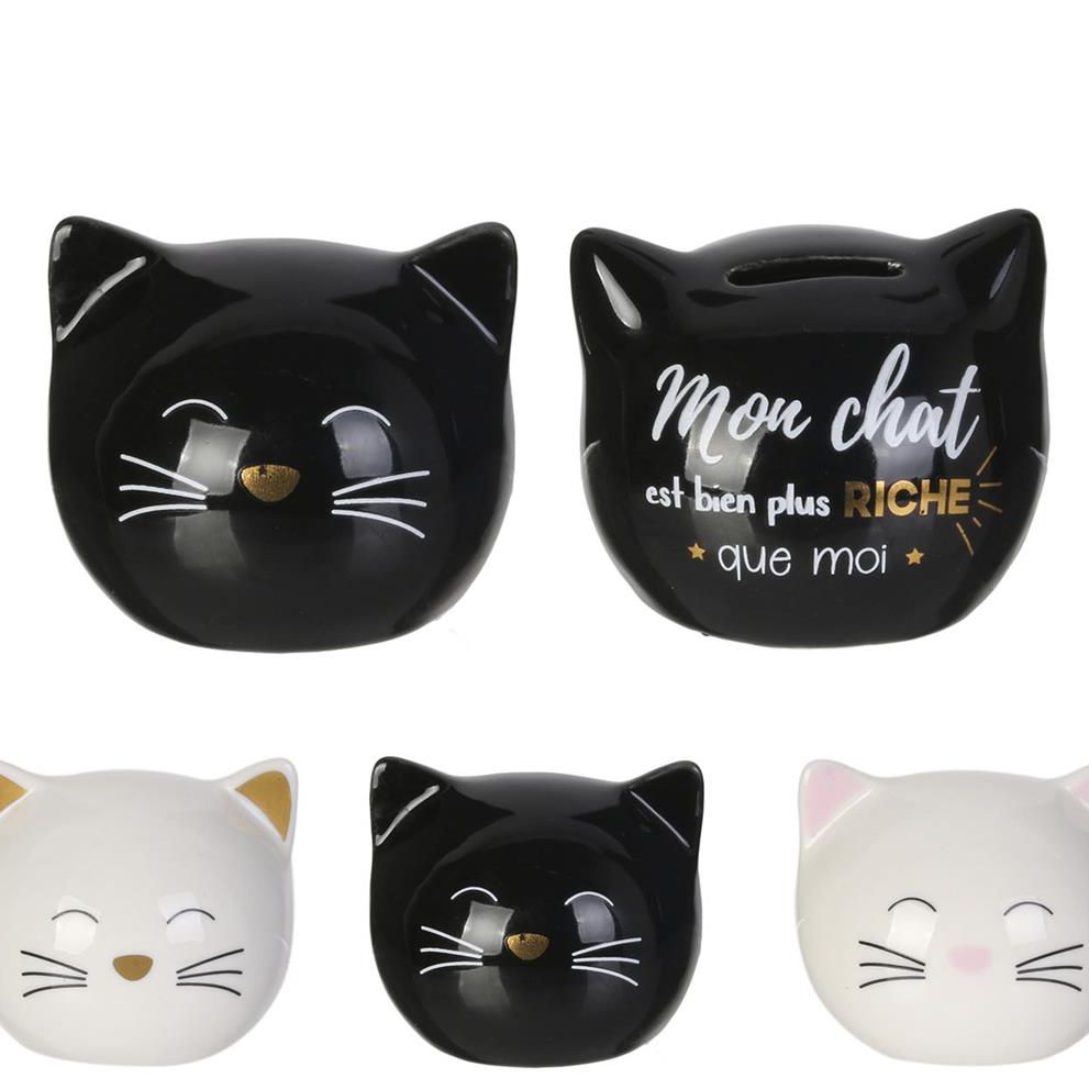 Le studio - tirelire - mini chat