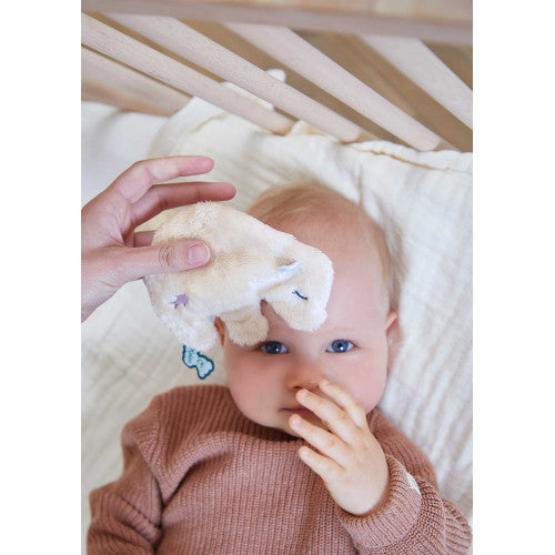 Kaloo - Poche de froid calmante Ours