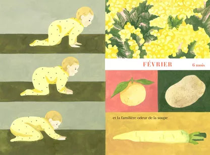 36 mois - Livre enfant - album jeunesse - 2 ans+