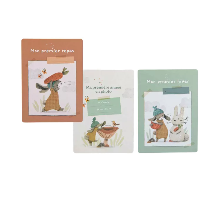 Moulin Roty - trois petits lapins - cartes mes 12 premiers mois -30 cartes