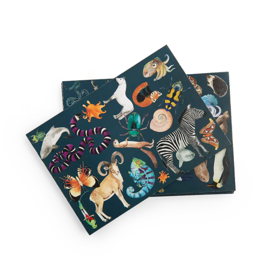 Moulin roty - jeu cherche et trouve - tout autour du monde