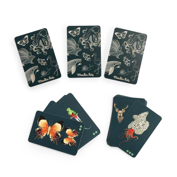 Moulin roty - jeu cherche et trouve - tout autour du monde