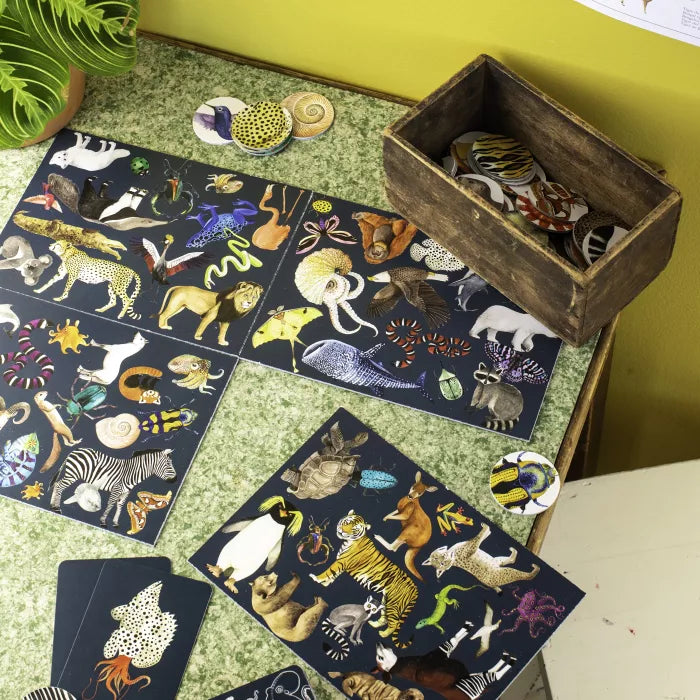 Moulin roty - jeu cherche et trouve - tout autour du monde