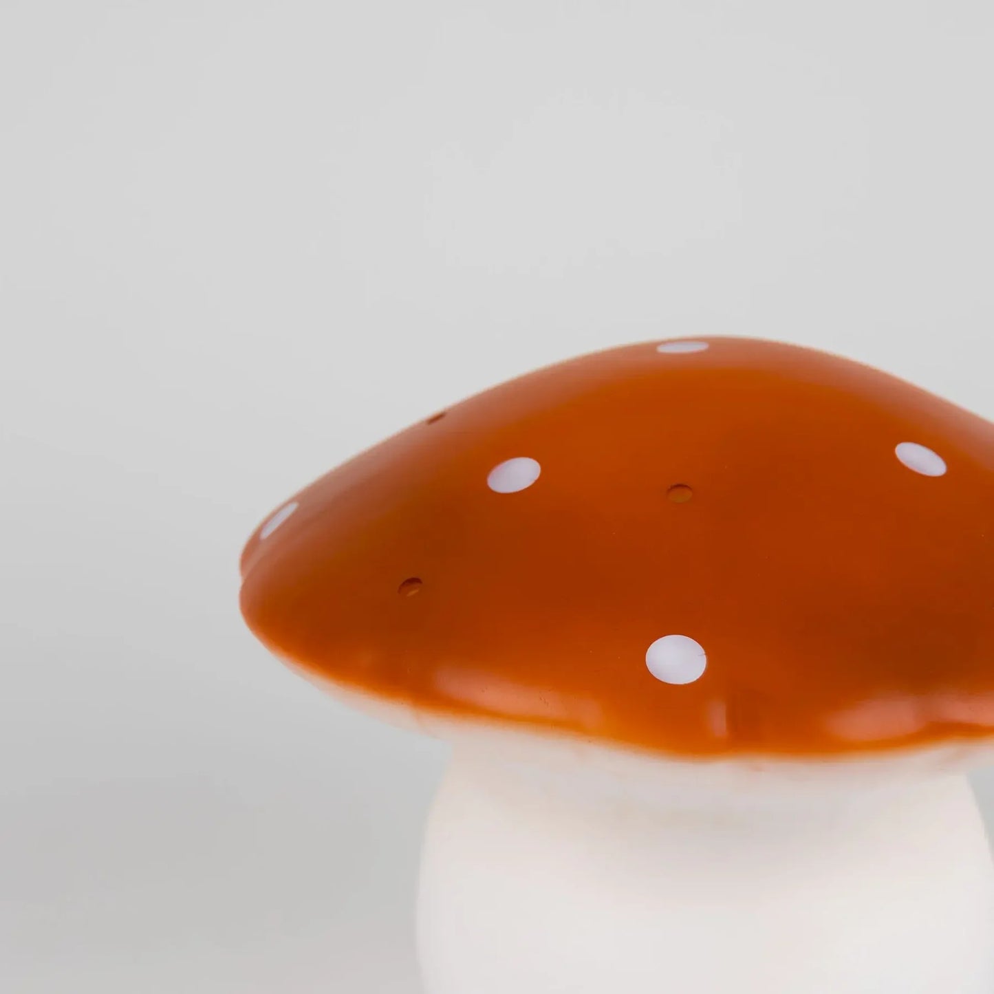 Egmont Toys - lampe moyen champignon Terra - veilleuse - 👶Naissance+