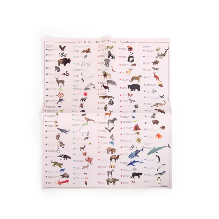 Moulin roty - Tout autour du monde - Mappemonde avec décalcomanies - 3 ans +