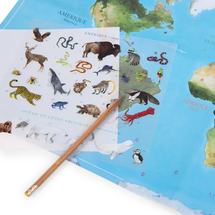Moulin roty - Tout autour du monde - Mappemonde avec décalcomanies - 3 ans +
