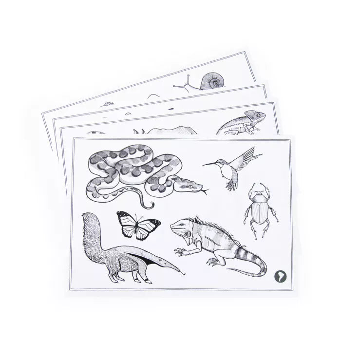 Tablette lumineuse Kidywolf et Moulin Roty - 5 ans+