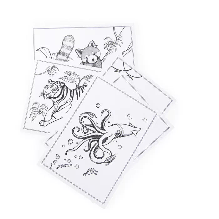 Tablette lumineuse Kidywolf et Moulin Roty - 5 ans+