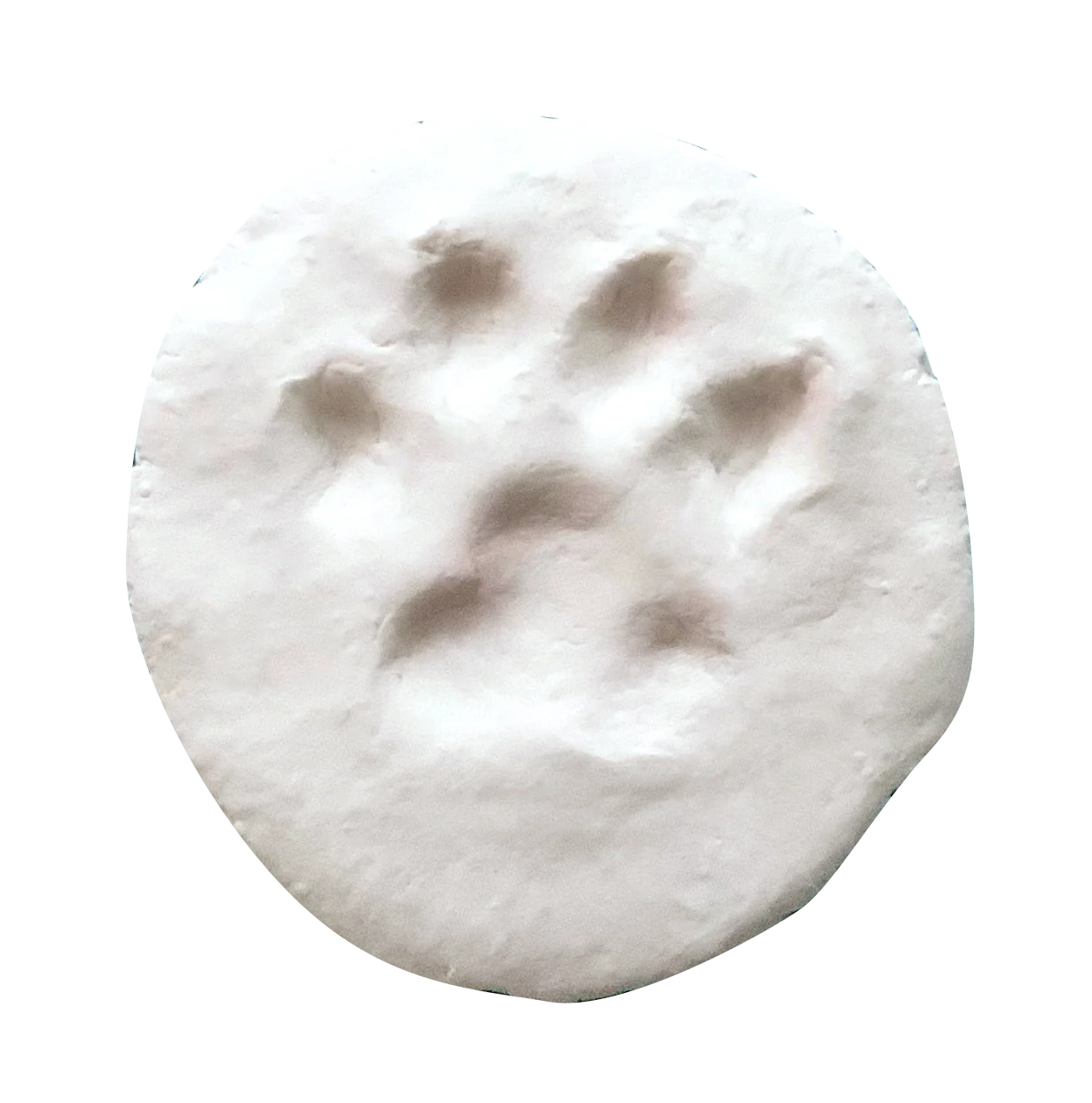 Kit Empreinte Bébé en Pâte autodurcissante